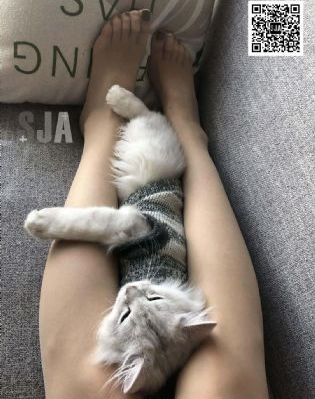 在线人成免费视频69国产_迅雷手机免费观看